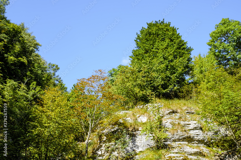 Fototapeta premium Ramet gorges from Transylvania, Trascau mountains, Alba county, Romania