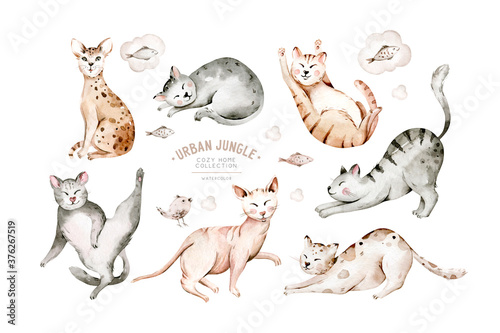 Cute watercolor cartoon cats set illustrations isolated on white. Perfect for stikers, wallpaper, poster decoration.