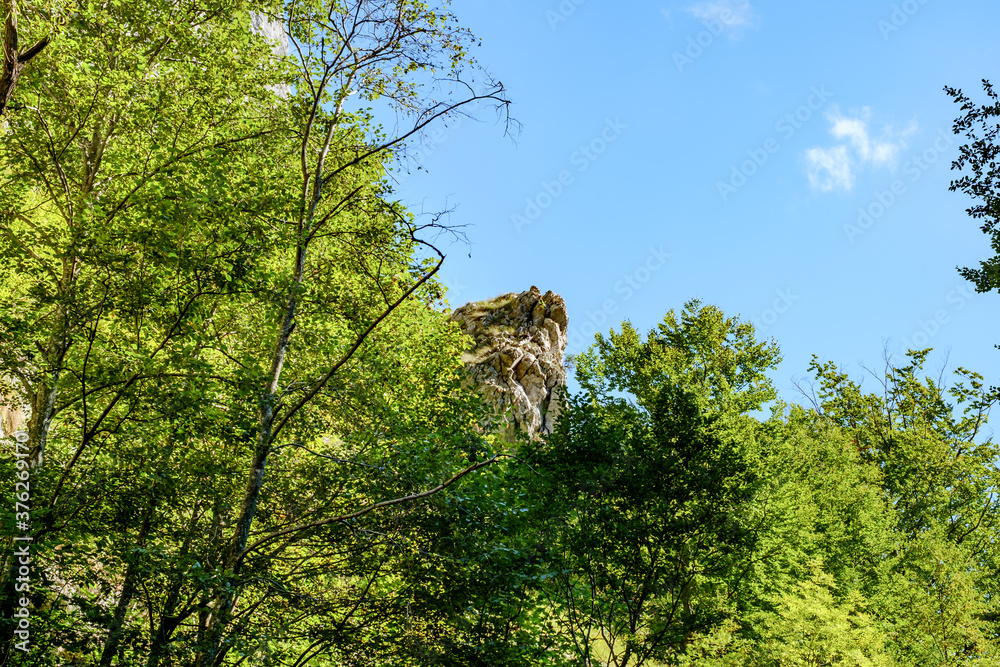 Fototapeta premium Ramet gorges from Transylvania, Trascau mountains, Alba county, Romania