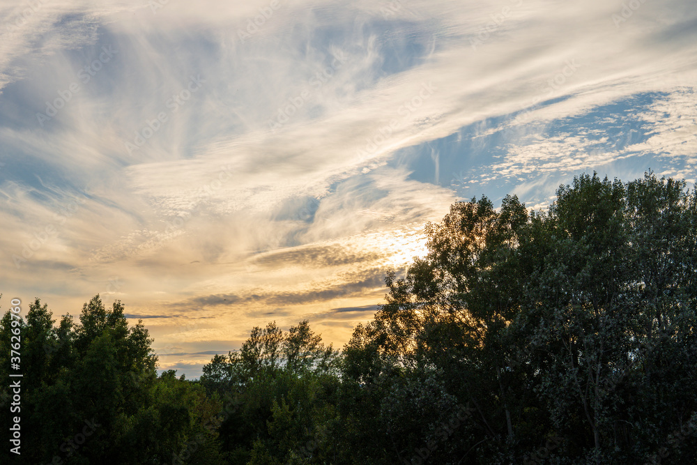 Striking yellow sky with the sunset peaking through cirrus clouds and trees in Vienna Austria Striking yellow sky with the sunset peaking through cirrus clouds and trees in Vienna Austria