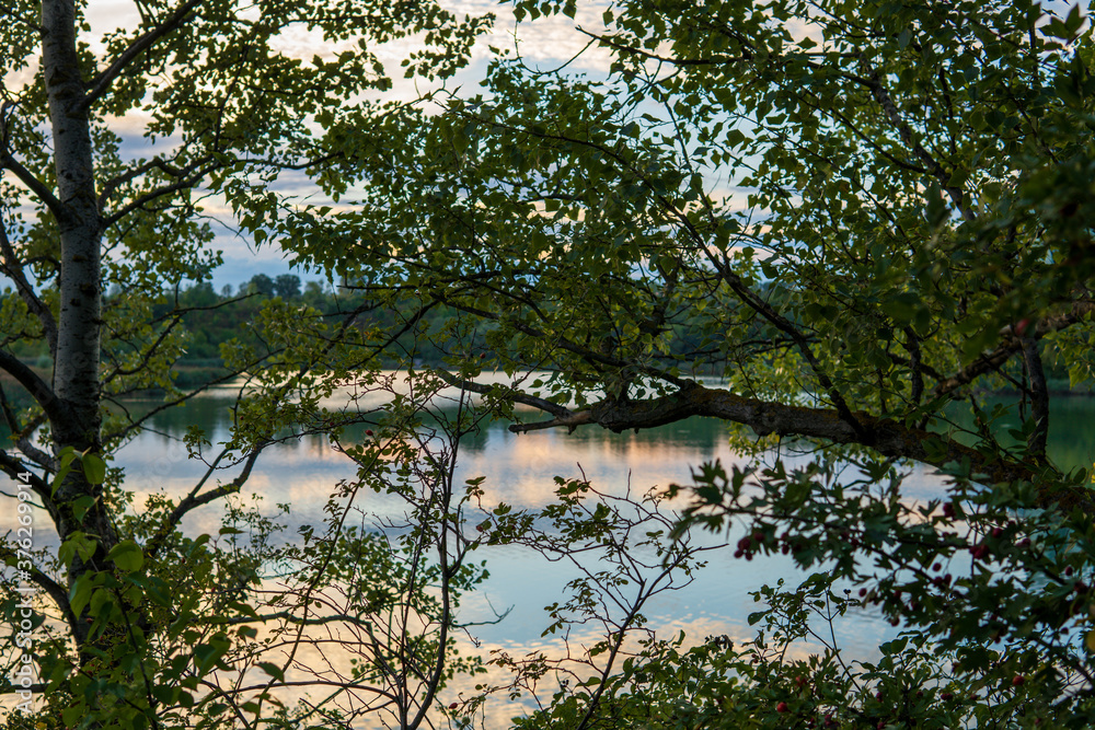 Orange striking sunset reflecting above the lake in a forest with green trees branches in the foreground, bright clouds and blue sky Orange striking sunset reflecting above the lake in a forest with green trees branches in the foreground, bright clouds and blue sky