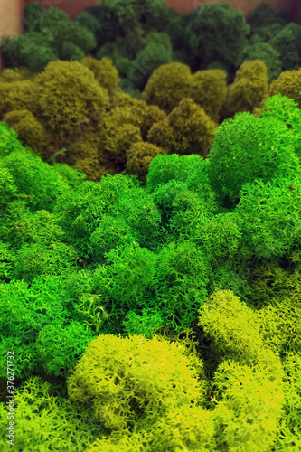 stabilized moss in a palette of shades of green