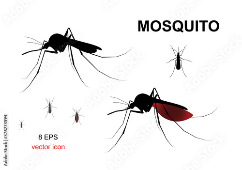 Aegypti Mosquito Vector Icon, Gnat Bloodsucking Insect Sign