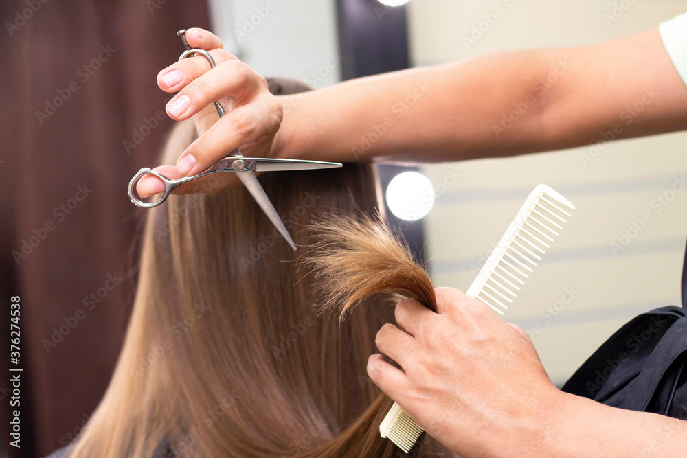 Fototapeta premium Womens hairdresser, beauty salon. Professional stylist cuts female hair in salon, close up