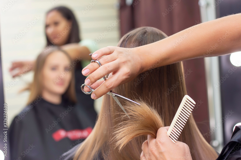 Naklejka premium Womens hairdresser, beauty salon. Professional stylist cuts female hair in salon