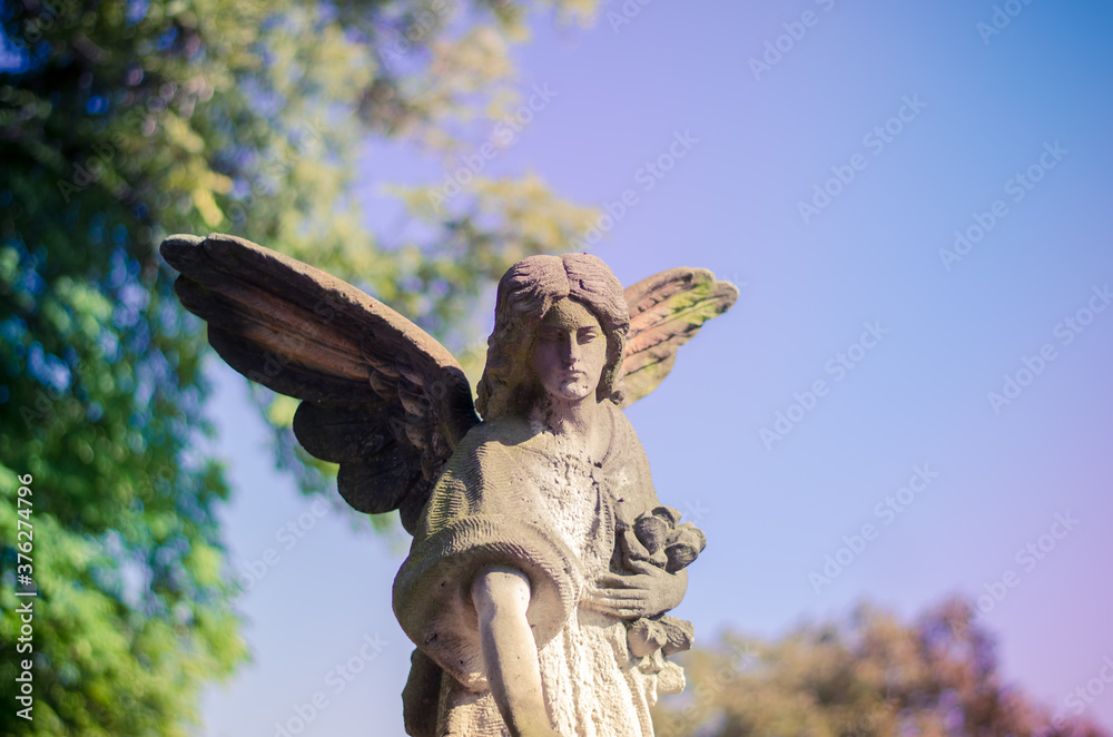 Fototapeta premium statue of stone angel