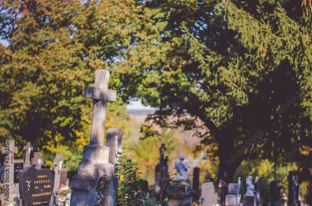 graves in the cemetery in the autumn season graves in the cemetery in the autumn season