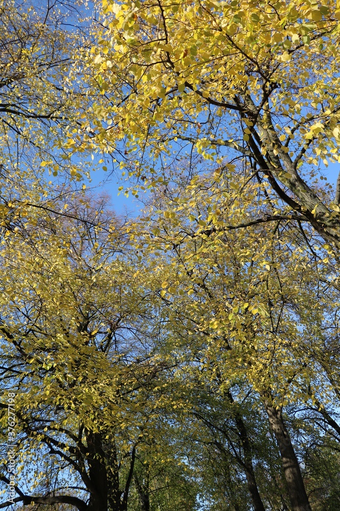 Beautiful autumn day in Cologne, Germany