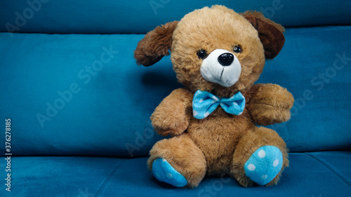 Ursinho de pelúcia marrom sentado em um sofá azul photo