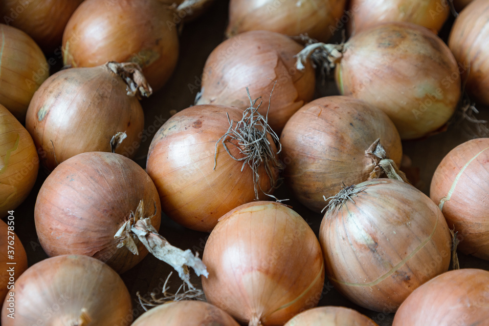 Dry onion stored in box closeup organic Dry onion stored in box closeup organic