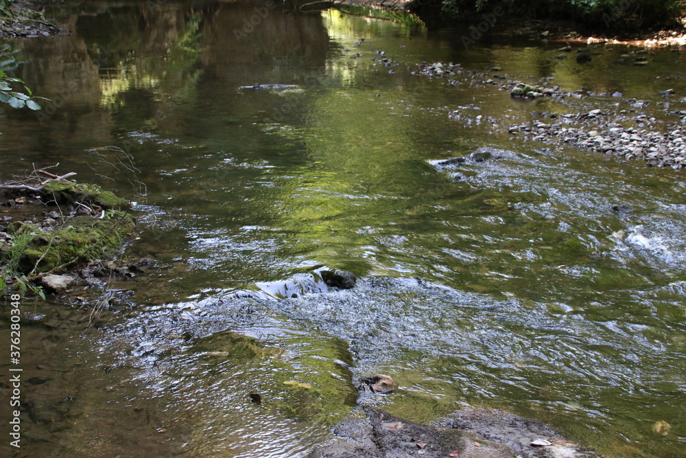 Wutachschlucht Wutachschlucht