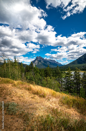 Summer mountain scenery with dramatic blue sky and golden field. 