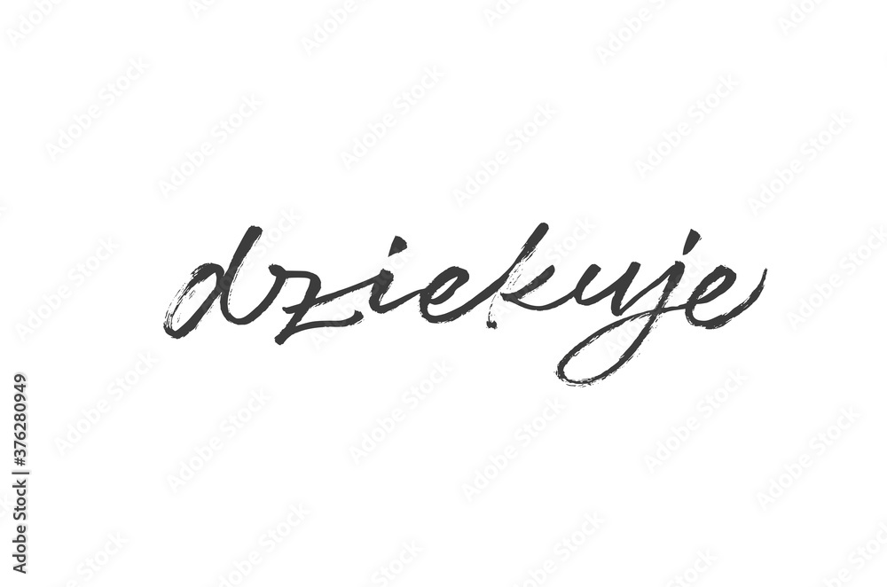 Dziekuje ink brush vector lettering. Thank you in Polish. Modern phrase handwritten vector calligraphy. Black paint lettering isolated on white background. Postcard, greeting card, t shirt print.