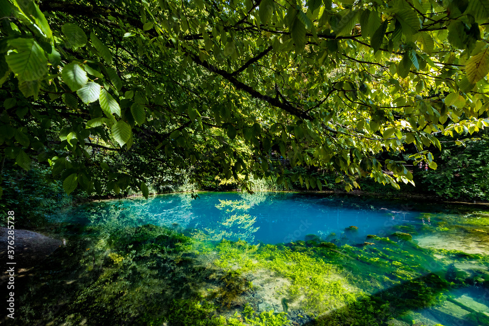 Blautopf farbenkräftig