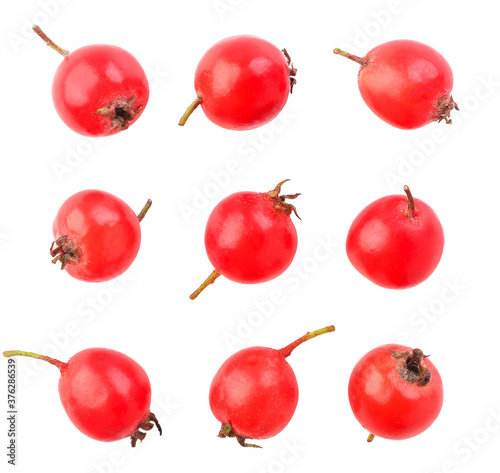 Fotografie, Obraz Set of hawthorn berries on a white background. The view from top