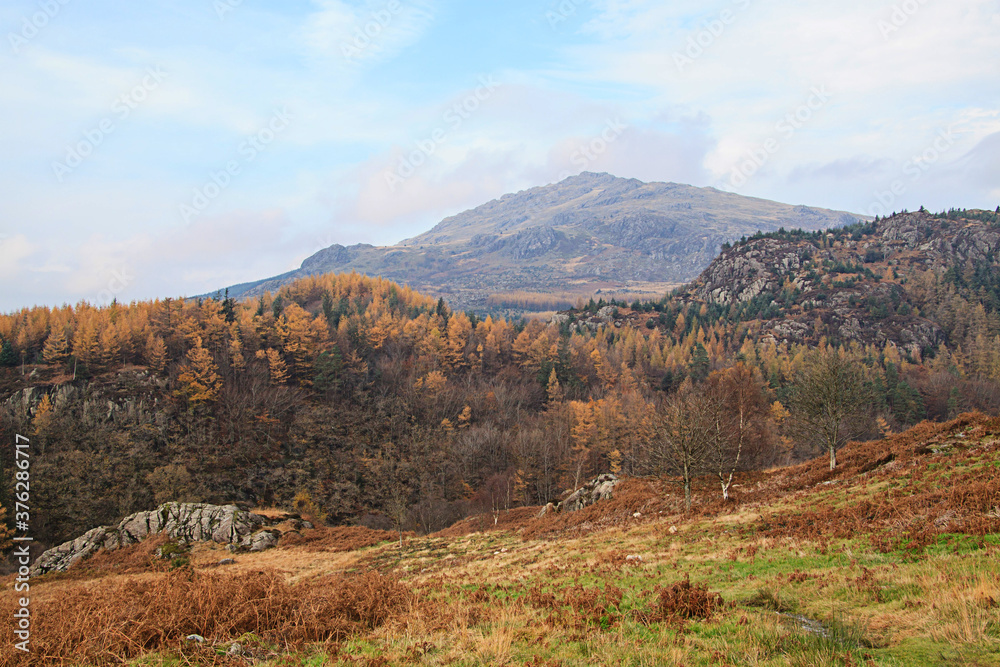 Harter Fell