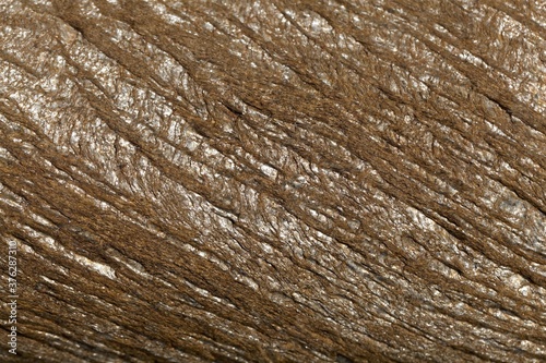 Tablou pe pânză Texture of the surface of a mica schist