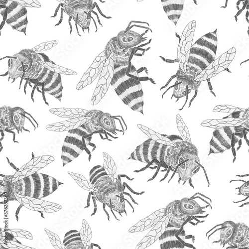 Seamless pattern with black and white bees on white background. Stylish vintage texture. Jpeg