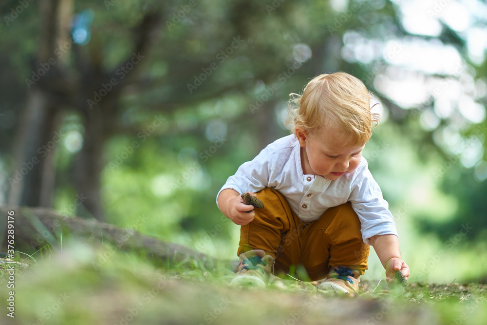 curious little child sitting in the forest studying and looking at different objects in the soil curious little child sitting in the forest studying and looking at different objects in the soil