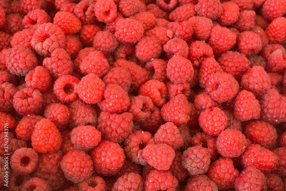 Himbeeren