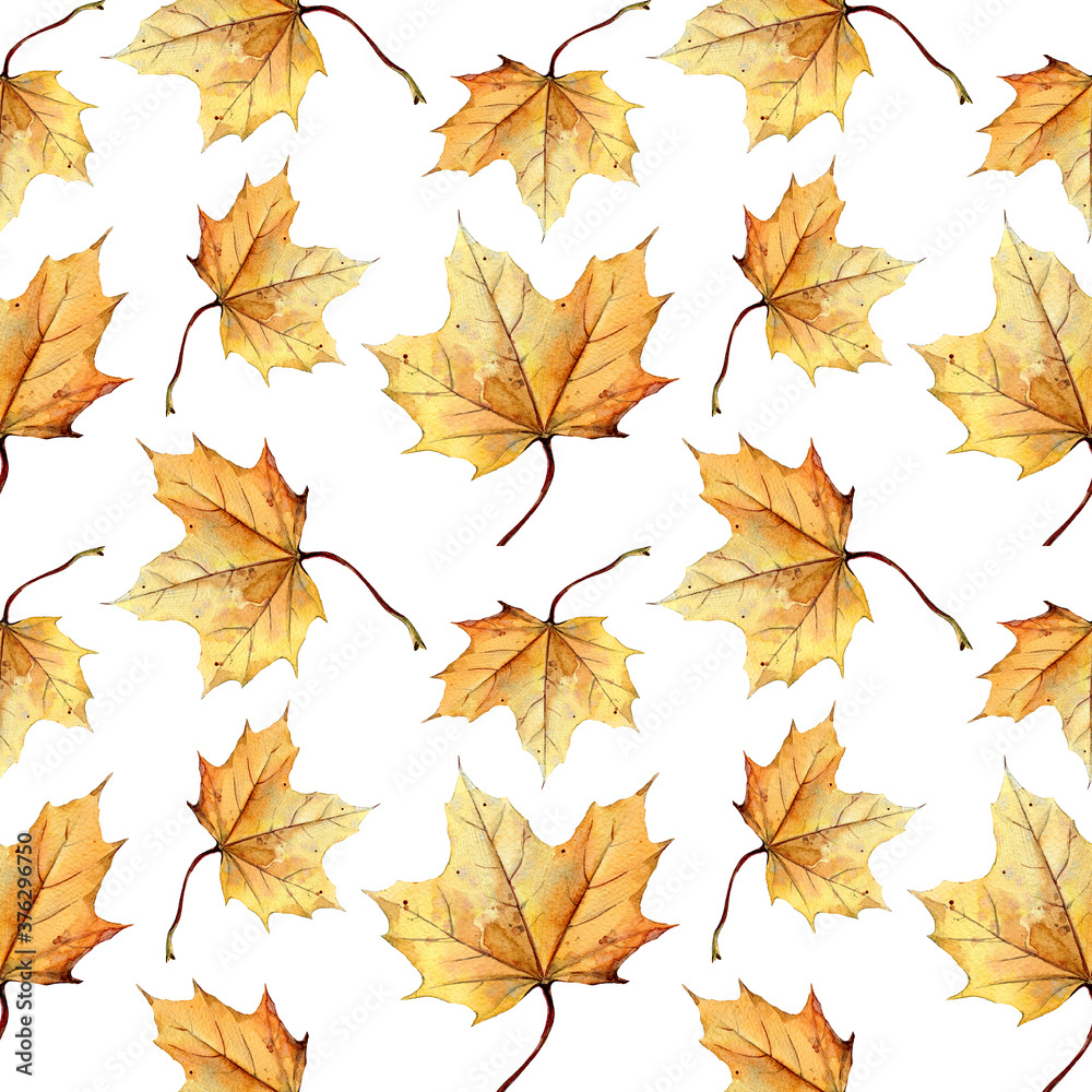  Watercolor seamless pattern of autumn leaves