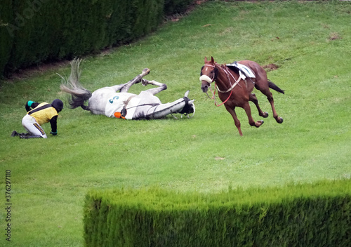 фотографія A jockey fallen from a horse while an another horse without jockey passing them by