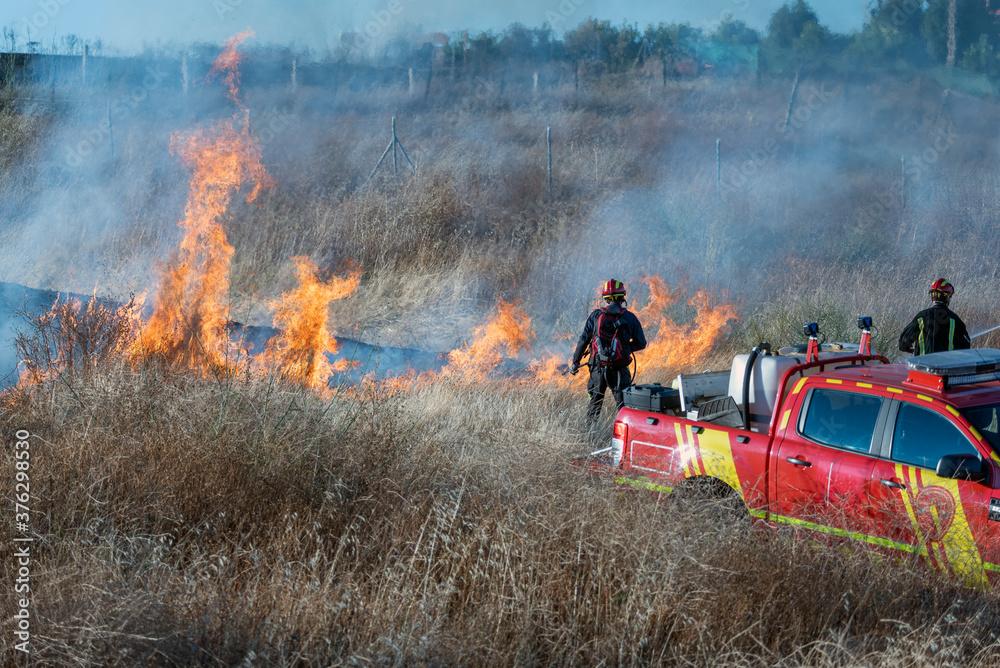 Fototapeta premium Two firefighters face a forest fire