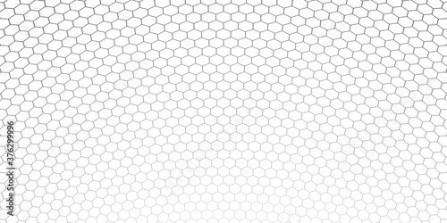 Honeycomb hexagon background pattern. Vector isolated texture. Comb seamless texture design. Vector hexagonal cell texture.
