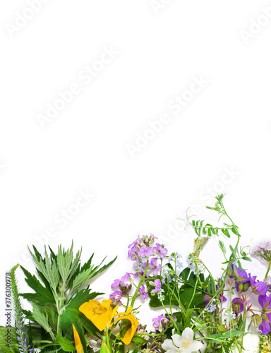 Beautiful flower bouquet with colorful flowers isolated on a white background.