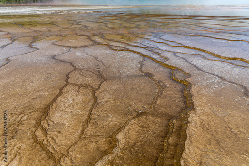 Mud Formations at the Grand Prismatic Spring, Yellowstone National Park