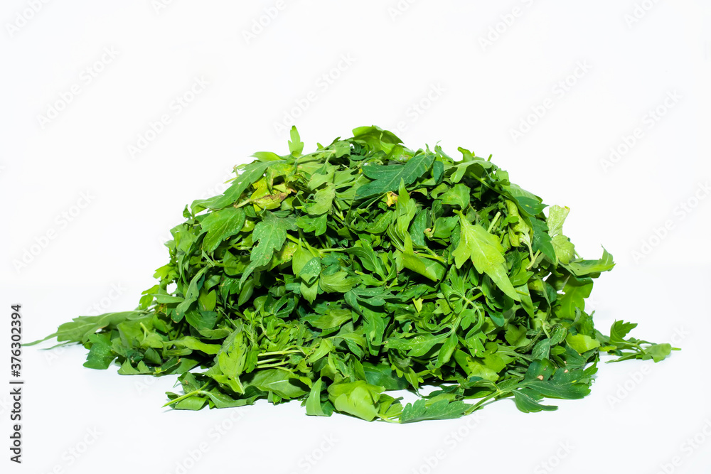 Lettuce with hydroponic vegetable leaves isolated on white background Lettuce with hydroponic vegetable leaves isolated on white background