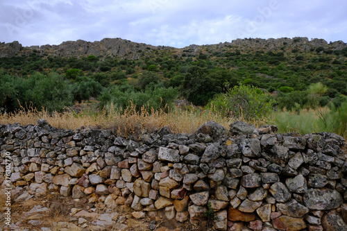 Rural landscape with stone wall