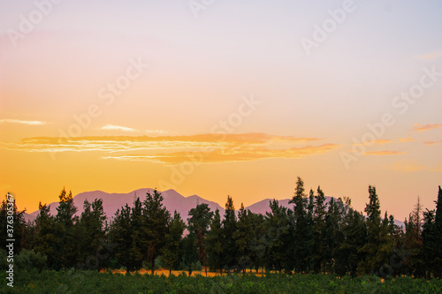 Fototapeta Naklejka Na Ścianę i Meble -  Sunset behind trees and mountains