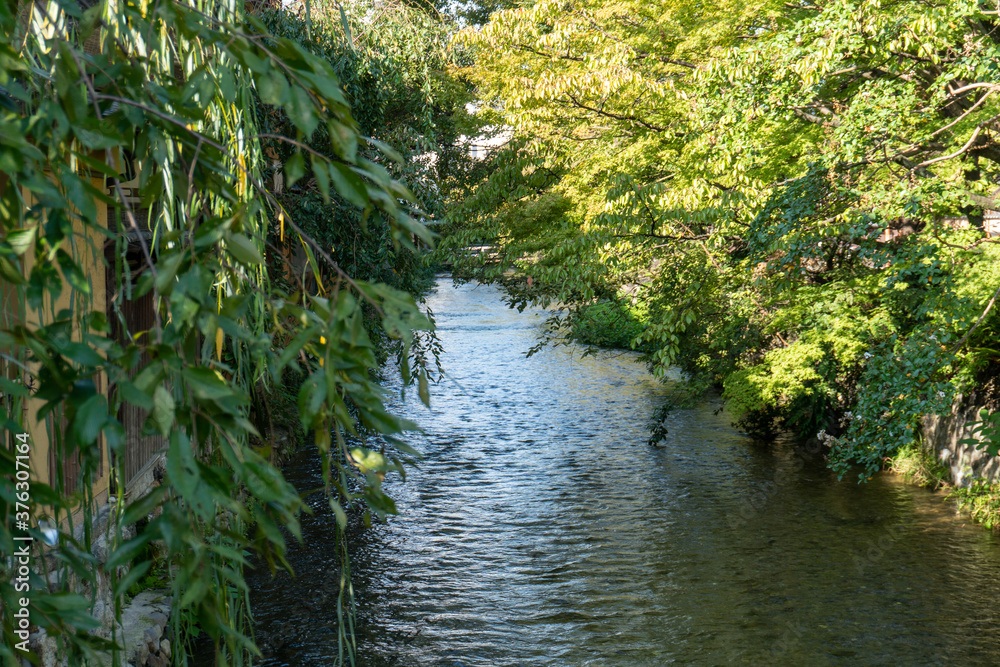 京都　巽橋