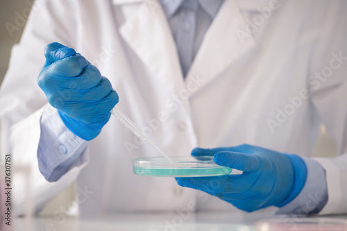 Gloved hands of contemporary lab worker holding pipette over petri dish