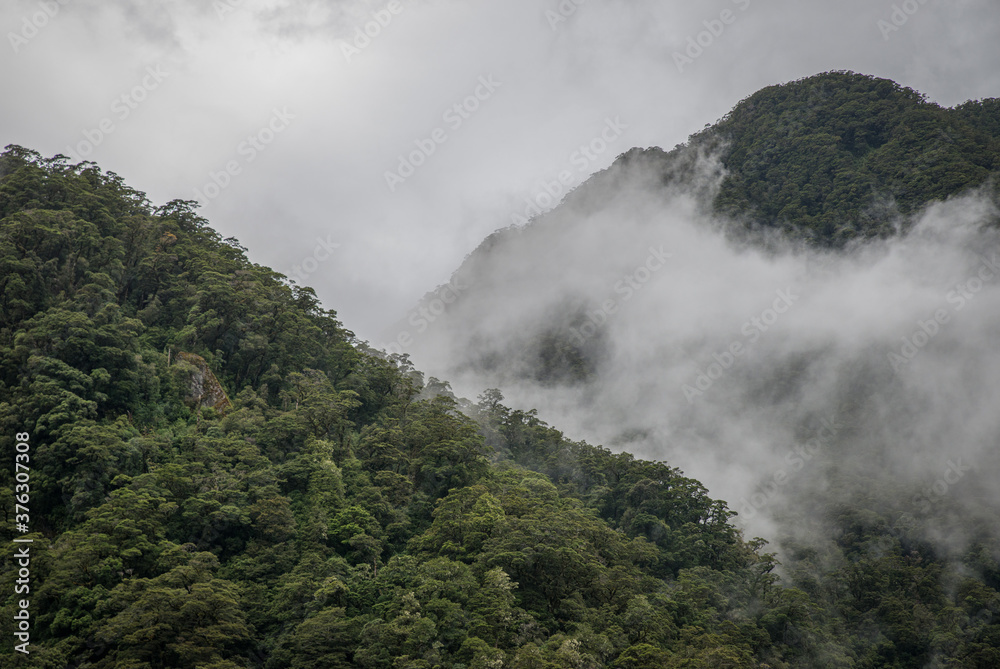 Misty mountains Fiordland New Zealand