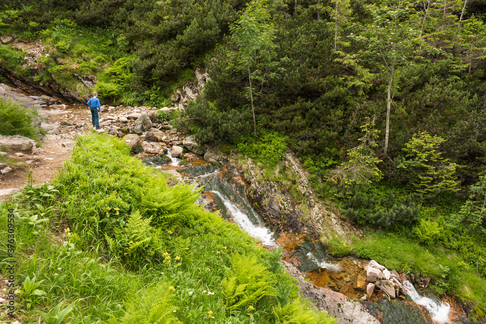 mountain stream in Polish mountains