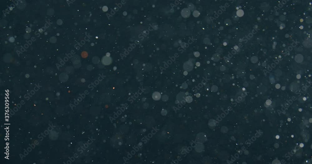 Out of focus particles floating in dark water.