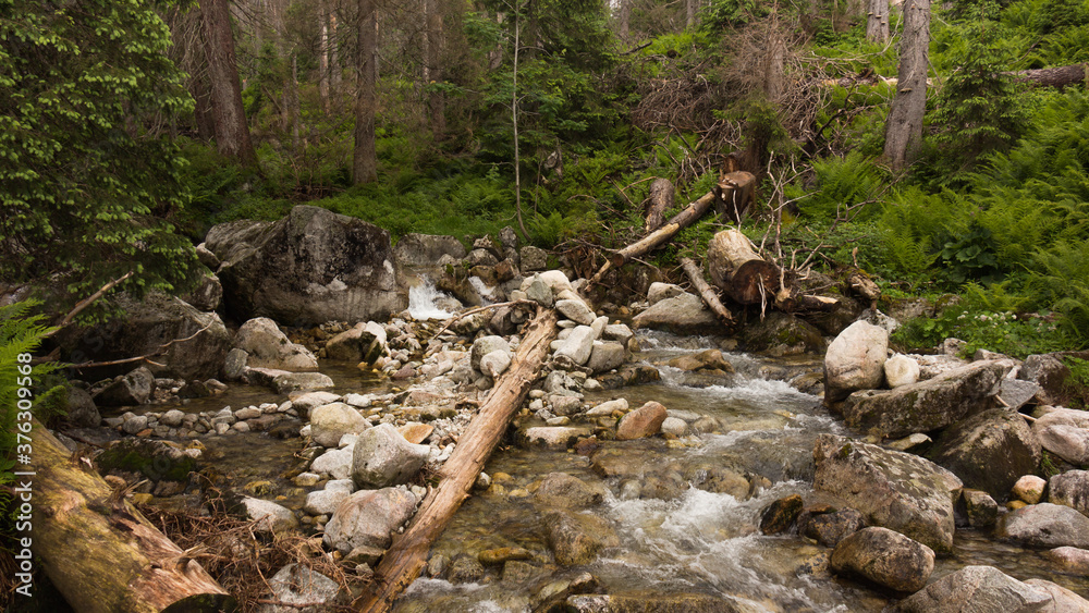 mountain stream in Polish mountains
