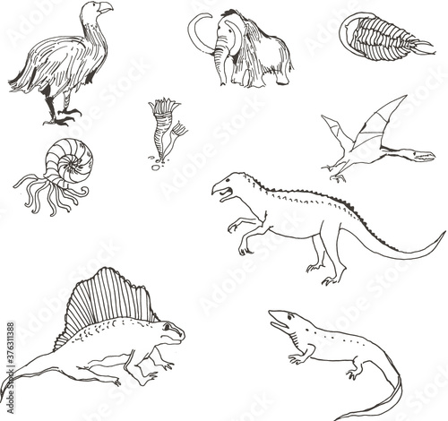 set of hand drawn dinosaurs