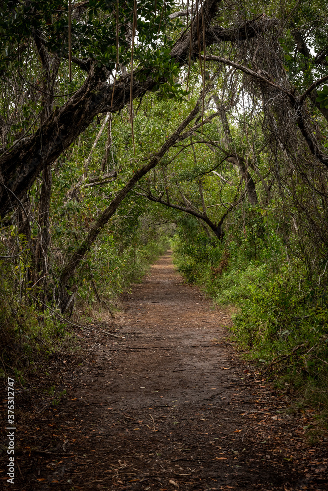 Naklejka premium Looking Down Snake Bight Trail
