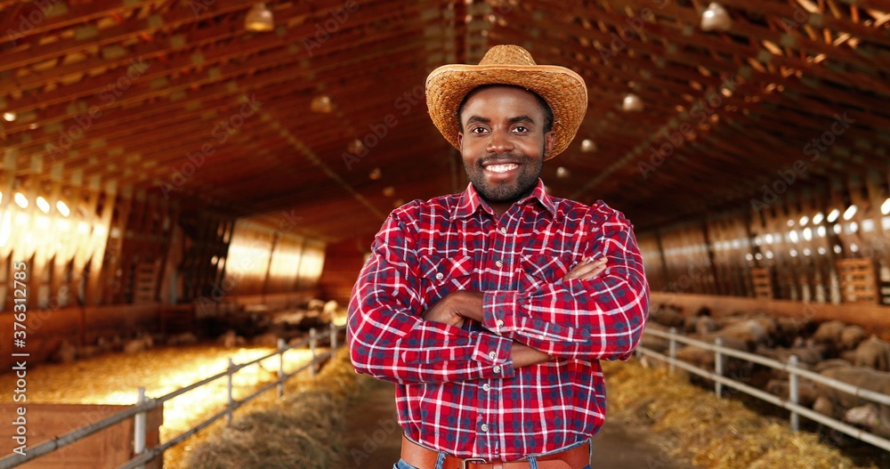 Portrait of handsome cheerful man in hat and motley shirt standing in stable of sheep farm, crossing hands and looking at camera. Happy male farmer or veterinarian in shed with cattle. Dolly shot.