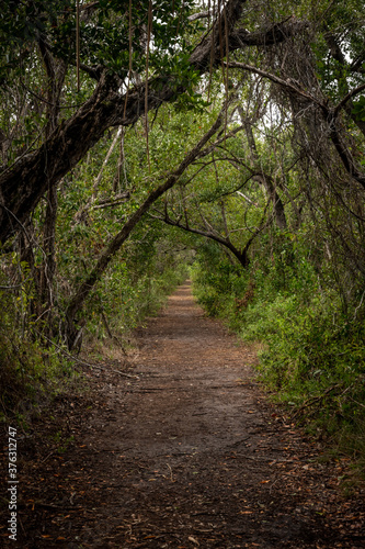 Looking Down Snake Bight Trail