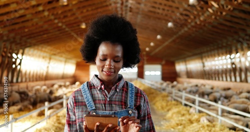 Young African American pretty woman using tablet device and walking in farm stable. Female farmer tapping and scrolling on gadget computer in shed. Going inside shed with livestock.