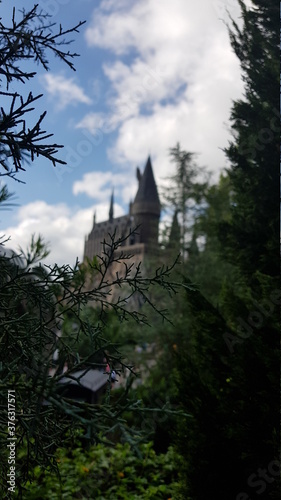 church in the forest