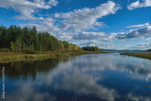 Summer landscape, forest trees are reflected in calm river water against a background of blue sky and white clouds. © Anatoliy