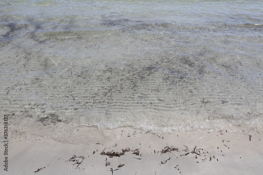 spiaggia di sabbia con acqua cristallina e piccole alghe