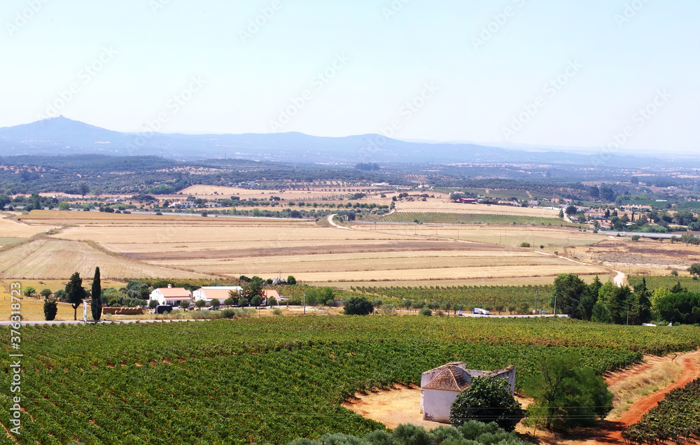 landscape of agricultural fields, view from Estremoz walls castle