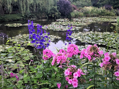 Fényképezés Flowers and nympheas in Monet's garden - 2016 - Giverny, France