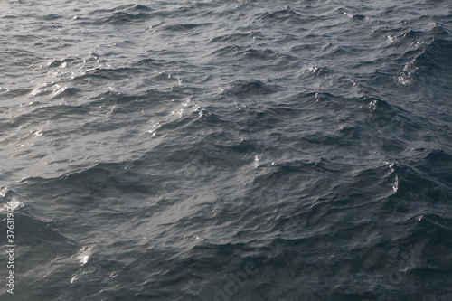 mare mosso con riflessi del sole mattutino
